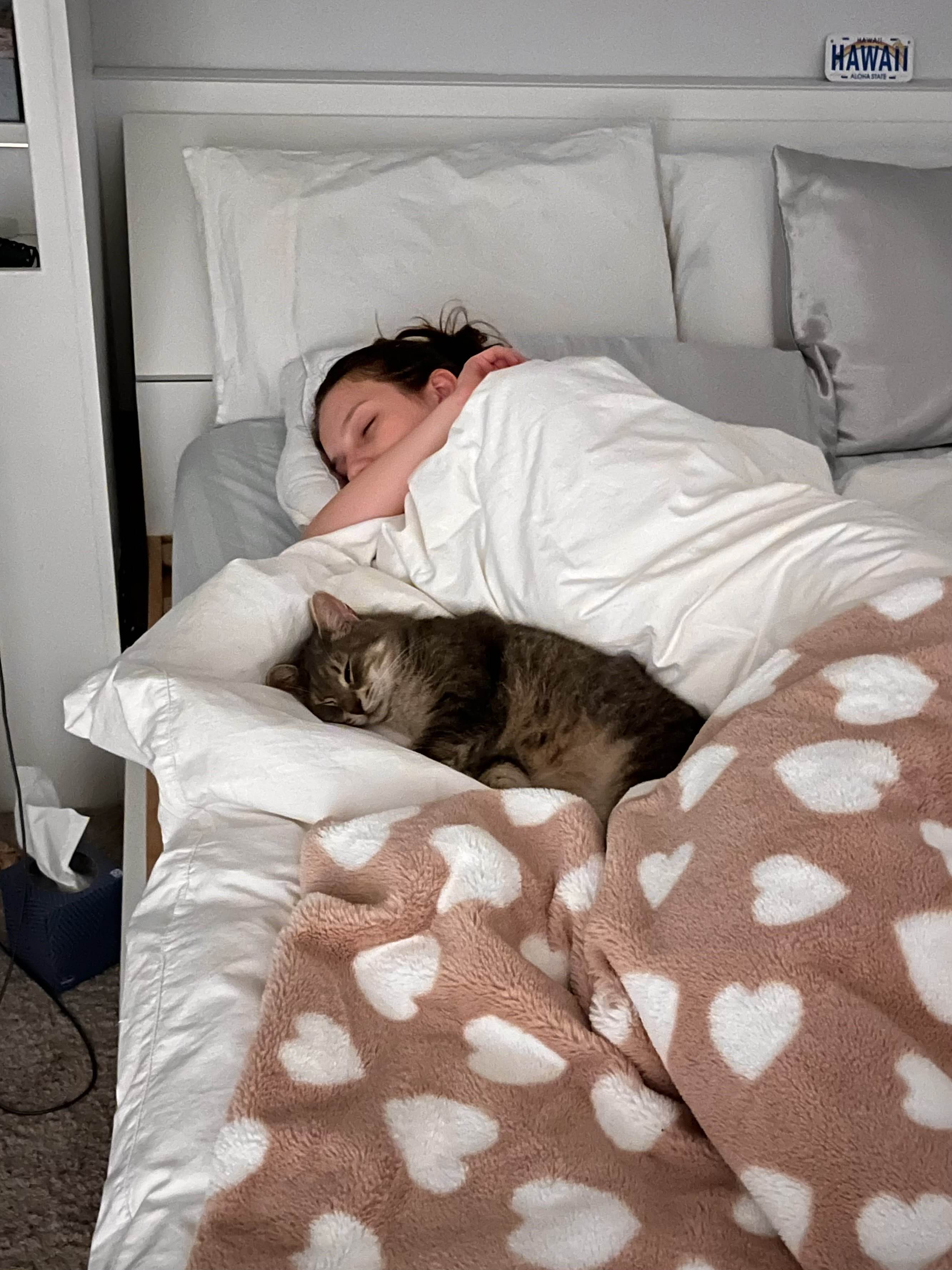 Missing Cat Photo 4